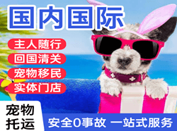三源浦航空邮寄国际宠物托运 【国